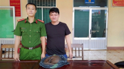 Bắt được hai con tê tê quý hiếm, người dân bàn giao cho cơ quan Công an