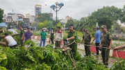 Hải Dương ra quân khắc phục sự cố, dọn dẹp vệ sinh sau bão