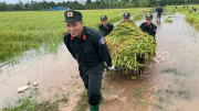 Di dời, đảm bảo an toàn sức khỏe, tài sản cho người dân vùng trũng ở Sóc Sơn.