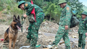 Cận cảnh chó nghiệp vụ “tác nghiệp” tại Nậm Tông, xã Nậm Lúc, huyện Bắc Hà