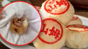 Bánh trung thu nhân… răng