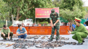 Công an Bạc Liêu thu hồi hàng trăm vũ khí, vật liệu nổ, công cụ hỗ trợ