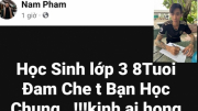 Đăng tải thông tin sai sự thật  về việc học sinh lớp 3 đâm chết bạn học