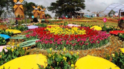 Nhiều chương trình đặc sắc Festival Hoa Đà Lạt lần thứ X