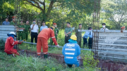 Cưỡng chế buộc khắc phục hậu quả đối với Công ty Formosa