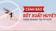 TP Hồ Chí Minh số ca mắc sốt xuất huyết liên tục tăng, 1 người tử vong