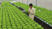Chủ tịch Hà Nội: nông dân có quyền nghỉ hưu thay vì phải lao động đến cuối đời