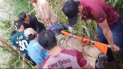 Tìm thấy thi thể người đàn ông bị lũ cuốn khi ngồi xe công nông vượt suối