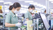 Xuất khẩu năm 2025: Kỳ vọng bứt phá từ các thị trường mới