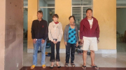 Chủ nhà nghỉ và quán cà phê phối hợp điều gái bán dâm