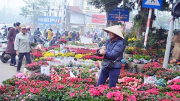 Đường xuân bốn mùa hoa