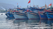 Tàu cá vi phạm sẽ bị phạt tiền "kịch khung" nếu có 2 tình tiết tăng nặng