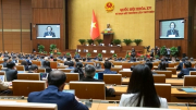 Hoàn thiện nguyên tắc tổ chức và hoạt động của Chính phủ, đẩy mạnh phân cấp, phân quyền