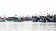 Ngư dân Huế “xông biển” đầu năm,&nbsp;đoàn kết vươn khơi, bảo vệ lãnh hải Tổ quốc