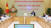 Phát triển kinh tế tư nhân thực sự là lực lượng nòng cốt trong quá trình phát triển đất nước