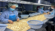 Ngành nông sản tìm cơ hội ở các thị trường mới