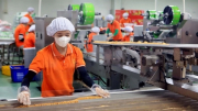Nhận diện các luận điệu xuyên tạc chủ trương của Đảng về kinh tế tư nhân trong giai đoạn phát triển mới