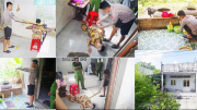 Thực nghiệm hiện trường vụ cháu đánh bà nội để cướp vàng