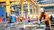 Kinh tế tư nhân là một động lực quan trọng nhất của nền kinh tế quốc gia