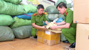 Bộ Công an thông tin tiến độ điều tra các vụ sữa giả, thuốc giả