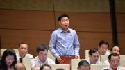 Đề nghị phân cấp cho tòa án khu vực được xét xử tất cả các vụ án hình sự
