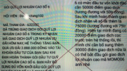 Mất hơn 300 triệu đồng khi tham gia đầu tư qua ứng dụng MoMo Pro giả mạo