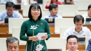 Đại biểu Quốc hội phân tích lý do nên bỏ tử hình đối với một số tội danh