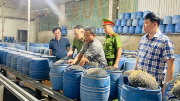 Khởi tố 3 bị can sản xuất giá đỗ bằng hóa chất độc hại