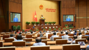 Thống nhất Kỳ họp Quốc hội có thể được tổ chức liên tục hoặc theo nhiều đợt