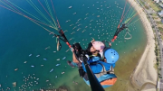 Tạm dừng toàn bộ hoạt động bay dù lượn tại bán đảo Sơn Trà sau vụ tai nạn chết người