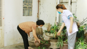 Bệnh sốt xuất huyết diễn biến phức tạp
