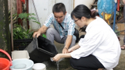 10 ca tử vong do sốt xuất huyết, lời cảnh báo với sự chủ quan