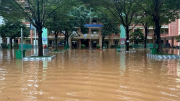 12 dự án trường học tại TP Hồ Chí Minh nằm trong diện thanh tra