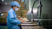Xuất khẩu bứt phá, phấn đấu đạt kim ngạch kỷ lục