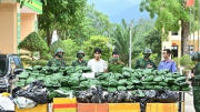 Thủ tướng gửi thư khen chiến công phá đường dây ma túy lớn
