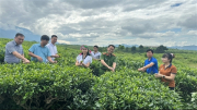 Chuyển đổi số lan tỏa mạnh mẽ ở xã miền núi Tân Uyên (bài 1)