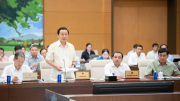 Băn khoăn việc đấu giá khoáng sản bị đẩy lên rất cao nhưng vẫn bị trục lợi