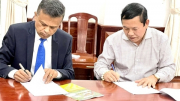 Đưa thông tin gian dối về việc vay vốn, một giám đốc người nước ngoài bị giữ