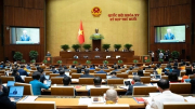 Cử tri ghi nhận lực lượng Công an tấn công mạnh mẽ tội phạm lừa đảo qua mạng, buôn bán hàng giả
