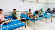 “Thần y mạng” chữa bệnh bằng độc dược