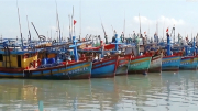 Thúc đẩy phát triển nghề cá bền vững và tuân thủ các quy định quốc tế