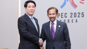 Vietnamese, Bruneian leaders pledge to promote practical development of bilateral ties