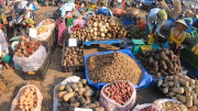 Siết chặt an toàn thực phẩm bảo vệ sức khỏe người dân