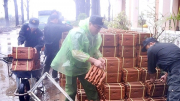 Tăng cường lực lượng hỗ trợ người&nbsp;dân khắc phục hậu quả do mưa lũ tại Gia Lai