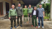 Thả 3 cá thể khỉ vàng quý hiếm về Vườn quốc gia Phong Nha Kẻ Bàng