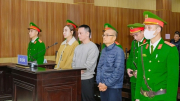 Vi “ngộ” hầu tòa vì tội trốn thuế