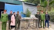 Công an xã ở Thanh Hóa vận động người dân giao nộp nhiều cá thể động vật hoang dã quý hiếm