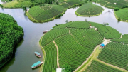 Dự án nghìn tỷ Đảo chè - Cầu Cau “treo” đến bao giờ?