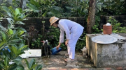 Sốt xuất huyết và tay chân miệng diễn biến phức tạp, Bộ Y tế khuyến cáo phòng bệnh