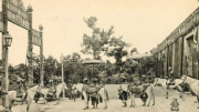 Vó ngựa thời gian